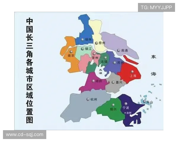 杭州排球队反击战术解析与未来发展展望 杭州排球队反击战术解析与未来发展展望